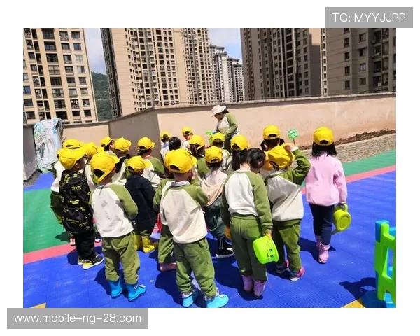 与杨丽畅谈和平精英的成长历程与职业生涯的精彩瞬间